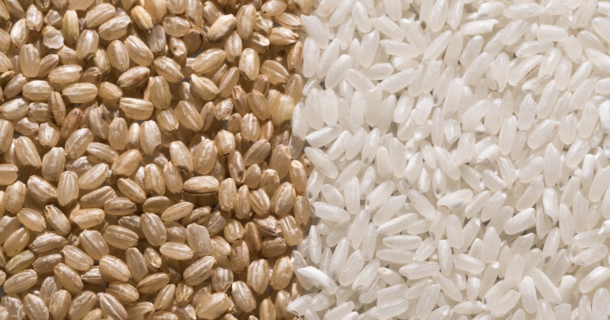 Arroz Blanco vs.  Arroz integral: ¿cuál es más saludable?