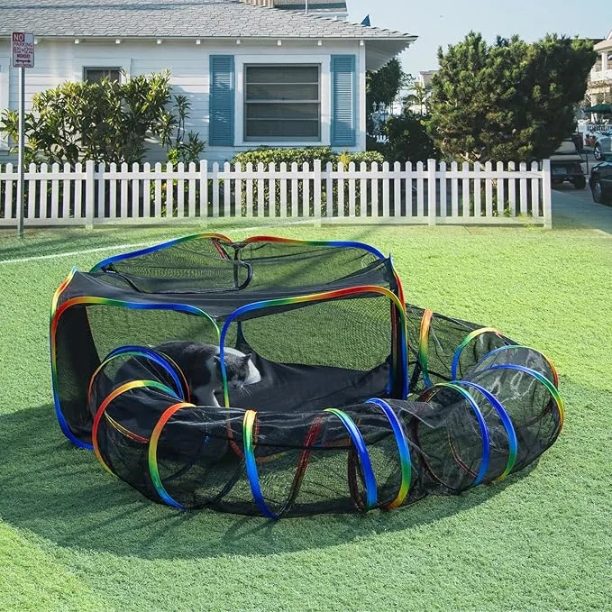 Lucky Rainbow Cat Cube de gato al aire libre