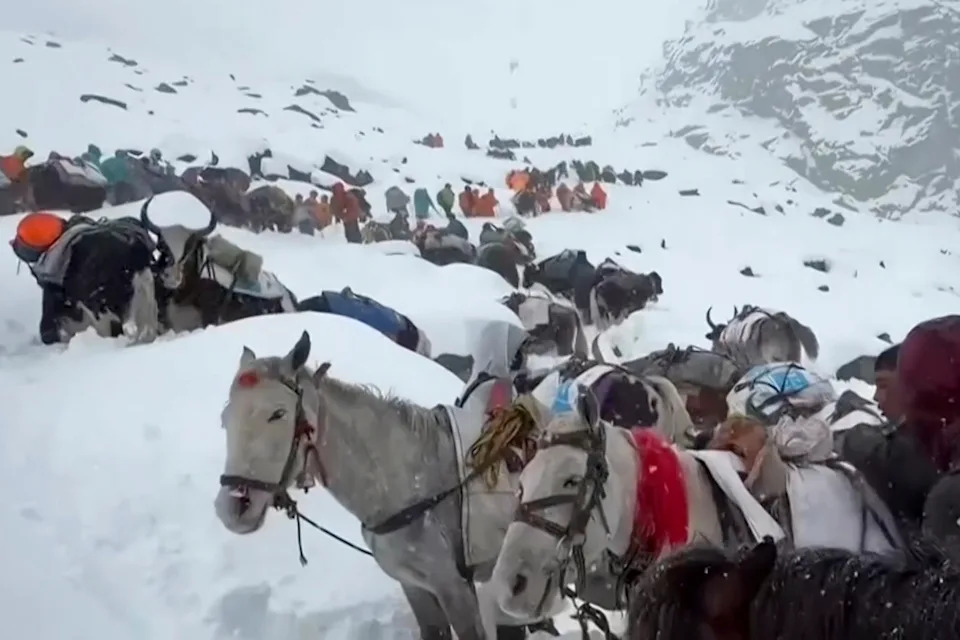 Los aldeanos, incluidos sus toros y caballos, subieron las colinas durante los intentos de rescate de llegar a cientos de excursionistas atrapados por fuertes nieve en los campamentos turísticos.