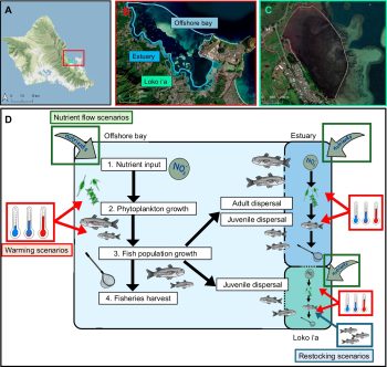 Un diagrama del desarrollo de los peces, una vista aérea de toda la isla, una vista aérea del estanque estudiado y una vista aérea del estanque.