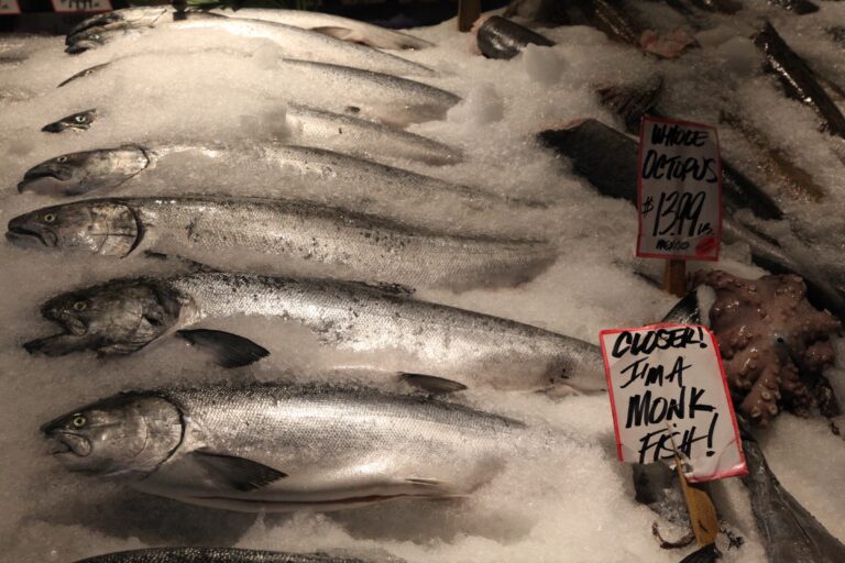 Pescado a la venta en un mercado de Estados Unidos. Foto de Daniel Schoen vía Wikimedia Commons (CC BY-SA 3.0).