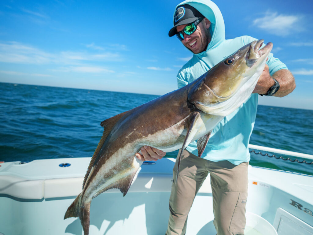 pez cobia