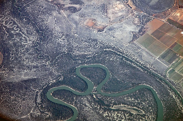 Una fotografía aérea del serpenteante río Murray.