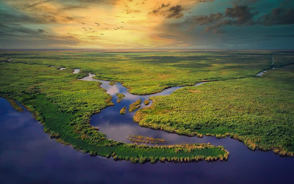 Vista aérea de la puesta de sol de la hora dorada de los Everglades de Florida